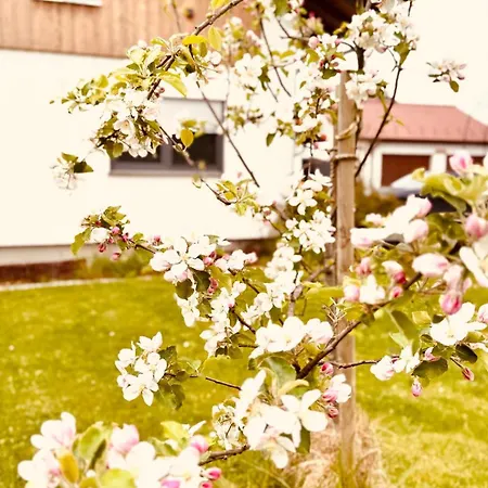 Mama Elva Διαμέρισμα Leutkirch im Allgäu